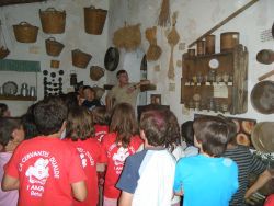Visitas Culturales
