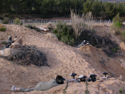 Paintball Valencia